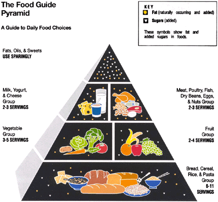 food pyramid for children. The Love Chef For Kids Web